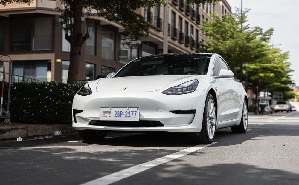 White Tesla Model 3 parked on a tree-lined city street