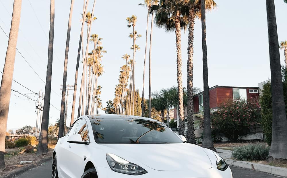 White Tesla Model Y parked on a palm-lined street