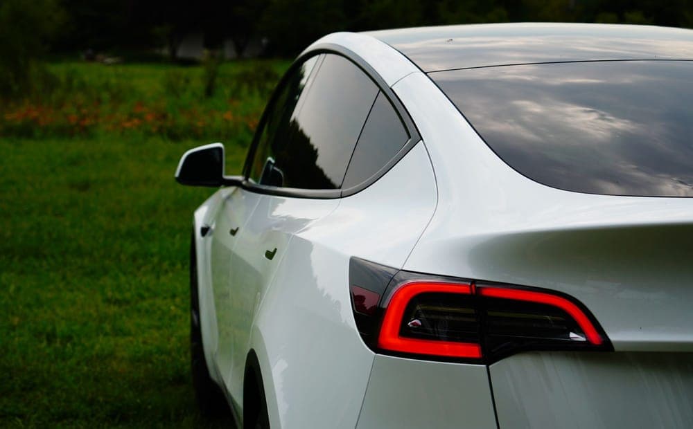 White Tesla Model Y parked in front of green foliage